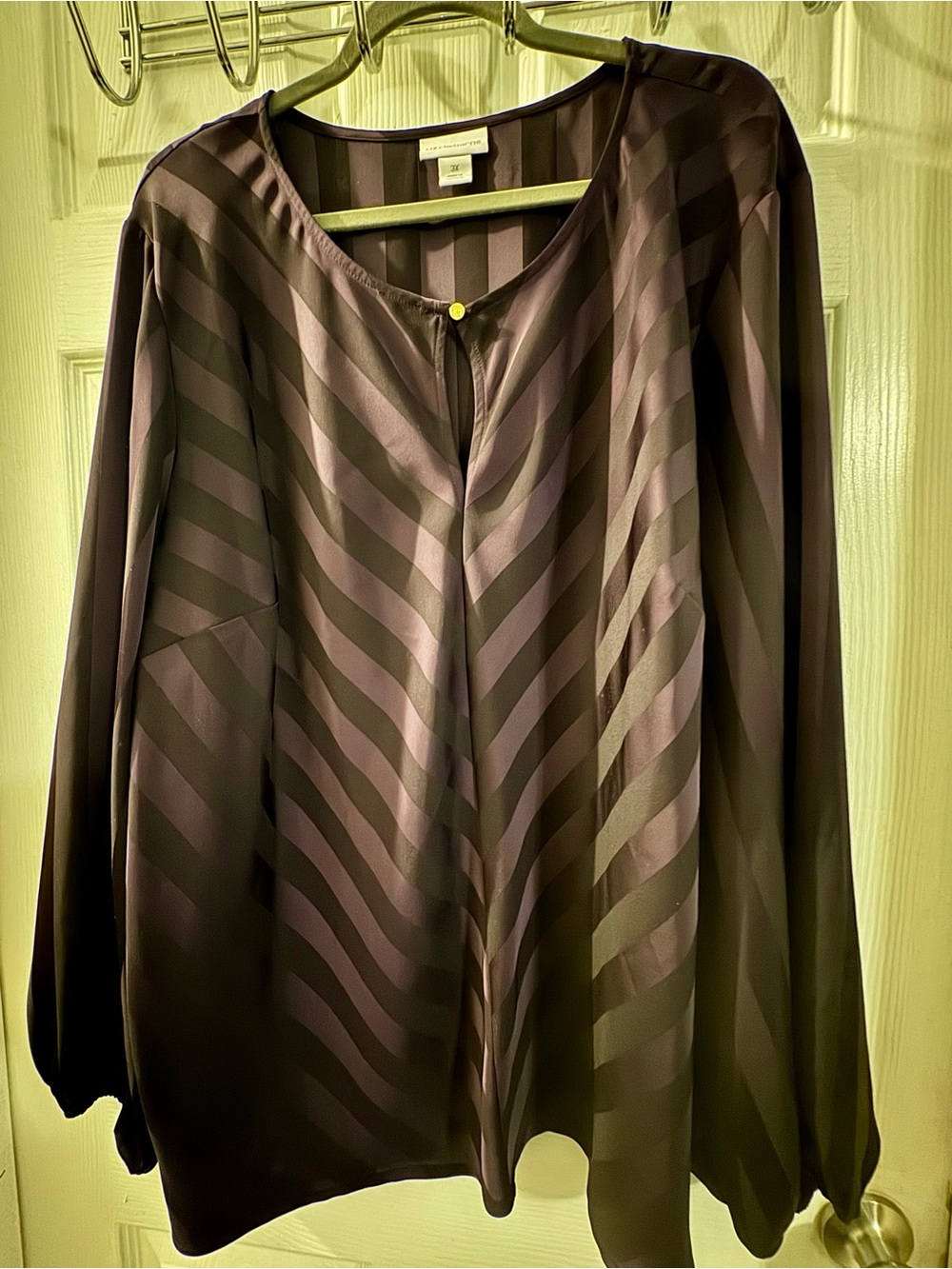 Women’s Sheer Stripe Long-Sleeve Blouse - Black